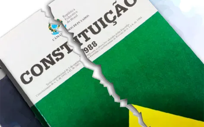 EU COMO CARTA MAGNA, NÃO POSSO PERMITIR QUE RASGUEM AS MINHAS PÁGINAS