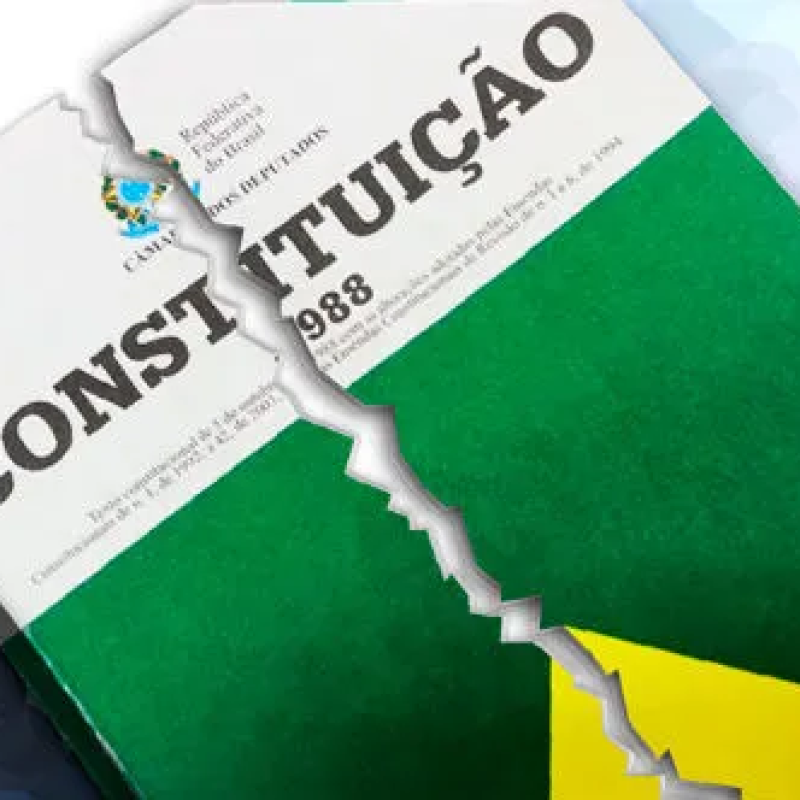 EU COMO CARTA MAGNA, NÃO POSSO PERMITIR QUE RASGUEM AS MINHAS PÁGINAS